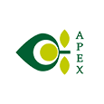Apex